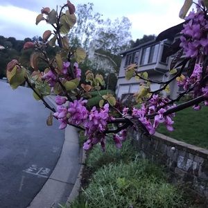 Meet your Posher, Lingling